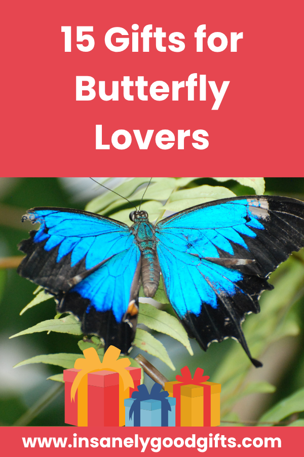 Butterfly Gifts