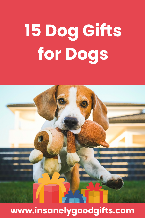 Dog Gifts for Dogs