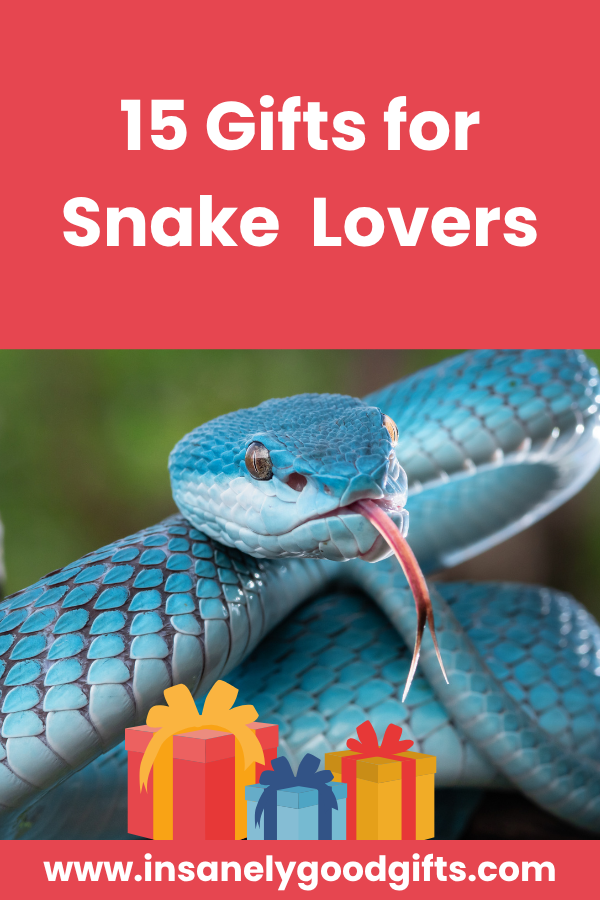 Snake Gifts