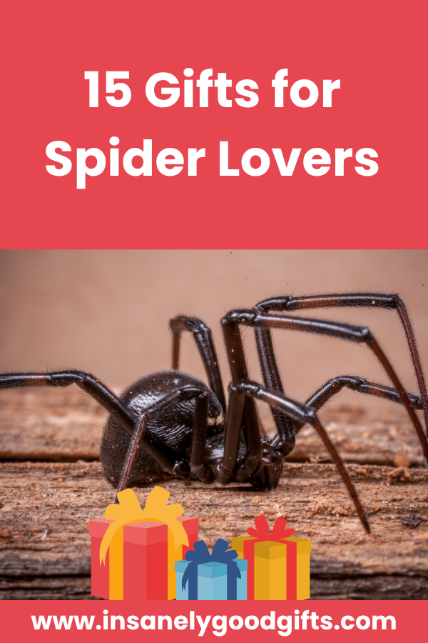 Spider Gifts