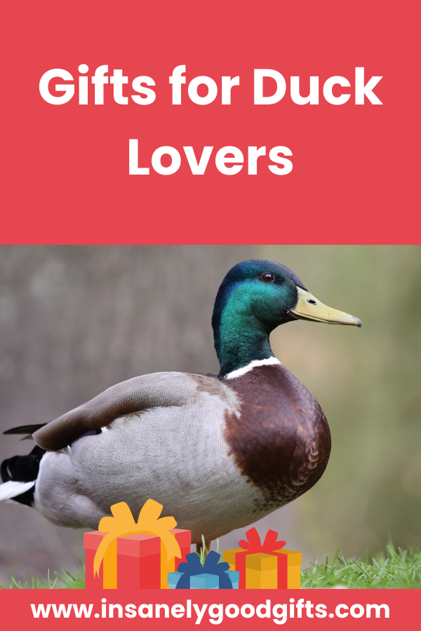 Duck Gifts