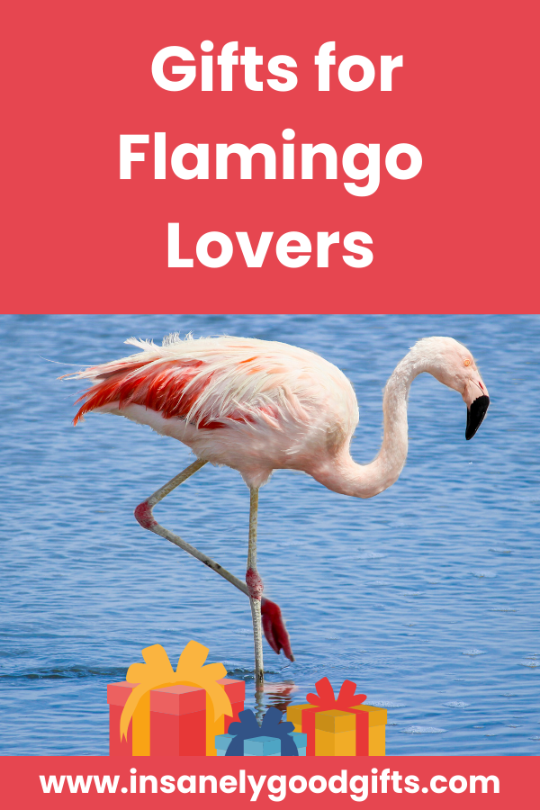 Flamingo Gifts