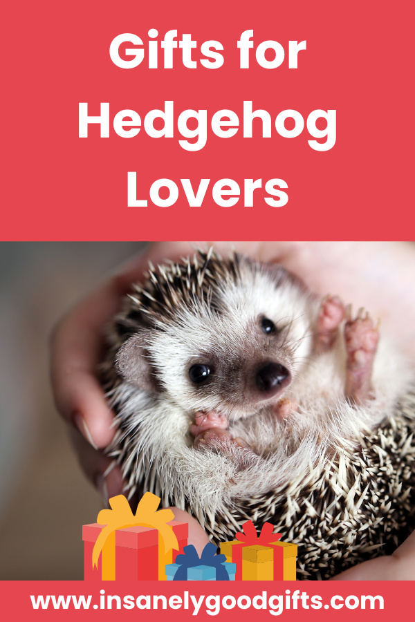 Hedgehog Gifts