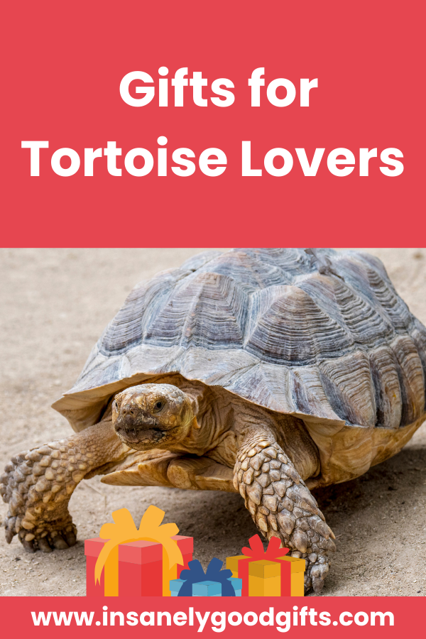 Tortoise Gifts