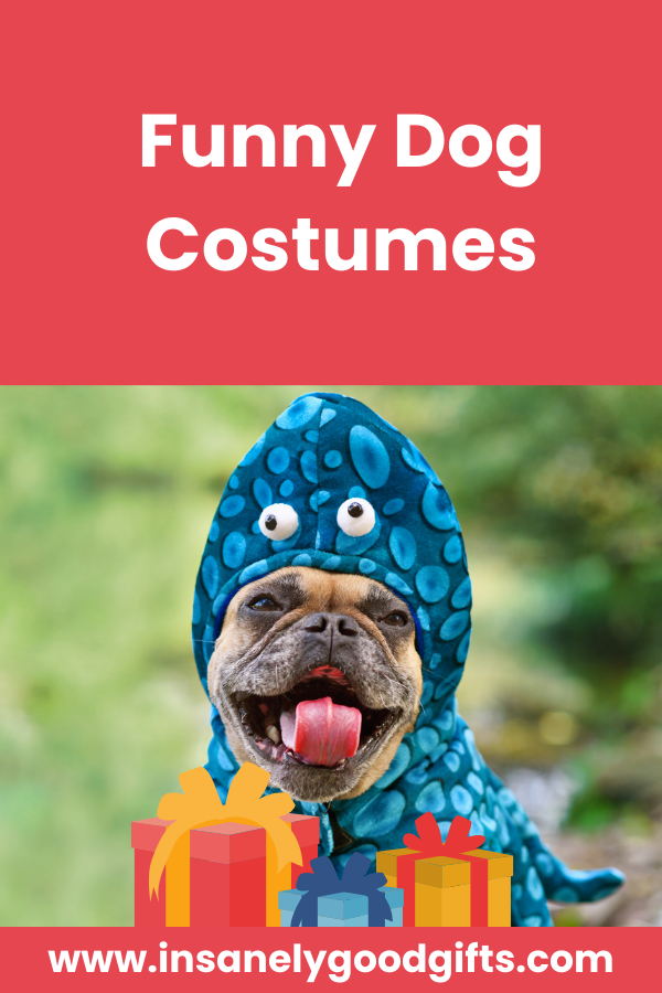 Funny Dog Costumes