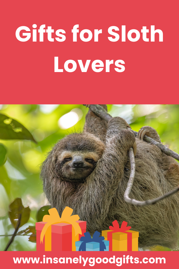 Gifts for Sloth Lovers